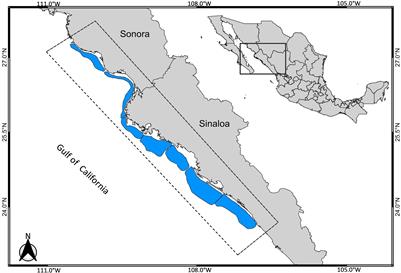 The challenge of assessing the state of exploitation of short-lived fishery resources with limited data: the blue shrimp (Penaeus stylirostris) fishery in the Gulf of California, Mexico